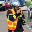 Comment freiner la vague épidémique qui frappe les élevages en France ?